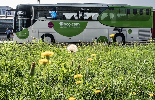 bus torino caselle